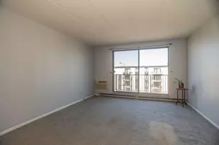 9128 W Terrace Dr, Niles, IL 60714 - Photo 3