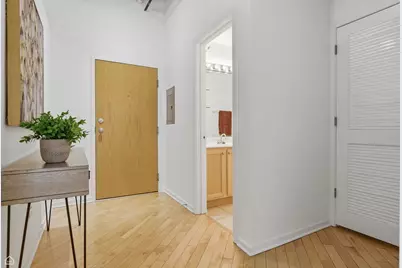 360 W Illinois Street #531, Chicago, IL 60654 - Photo 19