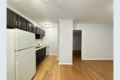 4537 N Dover Street #1B, Chicago, IL 60640 - Photo 9