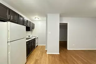 4537 N Dover St, Chicago, IL 60640 - Photo 9