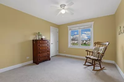 26545 S Jacob Drive, Channahon, IL 60410 - Photo 29