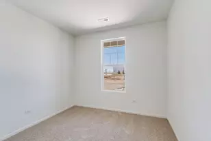 25441 W Alabaster Cir, Plainfield, IL 60544 - Photo 25