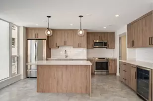 227 E Walton Pl, Chicago, IL 60611 - Photo 3