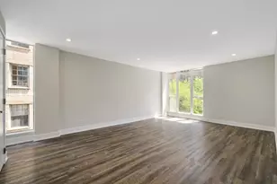 227 E Walton Pl, Chicago, IL 60611 - Photo 5