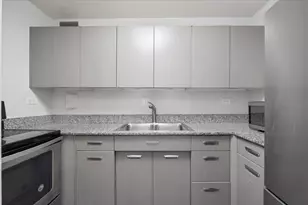 910 N Lake Shore Dr, Chicago, IL 60611 - Photo 9