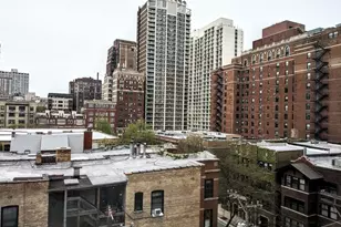 450 W Briar Pl, Chicago, IL 60657 - Photo 9