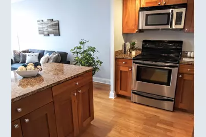 450 W Briar Place #6M, Chicago, IL 60657 - Photo 3