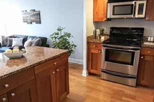 450 W Briar Pl, Chicago, IL 60657 - Photo 3