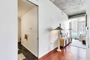 550 N St Clair St, Chicago, IL 60611 - Photo 7