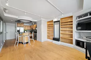 211 E Ohio St, Chicago, IL 60611 - Photo 5