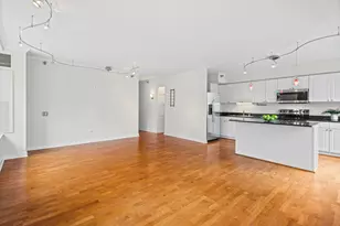 512 N McClurg Ct, Chicago, IL 60611 - Photo 9