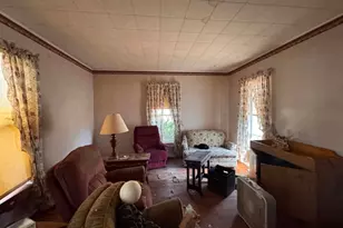 18 W Vine St, Piper City, IL 60959 - Photo 11