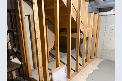 229 Shea Drive, Flossmoor, IL 60422 - Photo 23