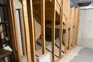 229 Shea Dr, Flossmoor, IL 60422 - Photo 23