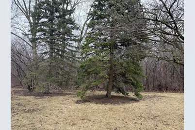 229 Shea Drive, Flossmoor, IL 60422 - Photo 29