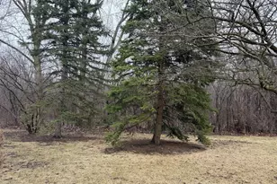 229 Shea Dr, Flossmoor, IL 60422 - Photo 29