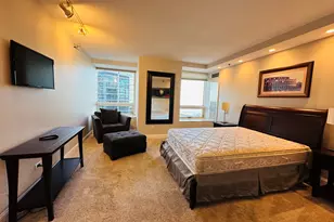 [Address not provided], Chicago, IL 60611 - Photo 19