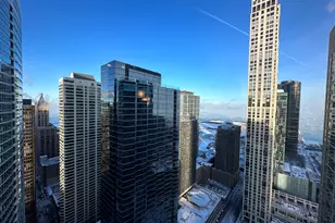 [Address not provided], Chicago, IL 60611 - Photo 25