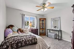 2329 Jackson Branch Dr, New Lenox, IL 60451 - Photo 15