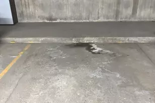 5101 Carriage Way Dr, Rolling Meadows, IL 60008 - Photo 41