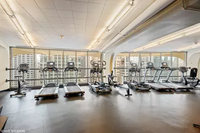 300 N State Street #2535, Chicago, IL 60654 - Photo 13