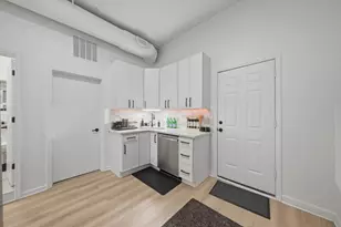 1113 S Racine Ave, Chicago, IL 60607 - Photo 9