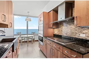 1300 N Lake Shore Dr, Chicago, IL 60610 - Photo 13