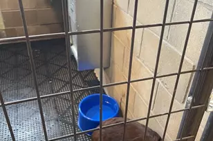 1801 Lee Center Rd, Amboy, IL 61310 - Photo 35