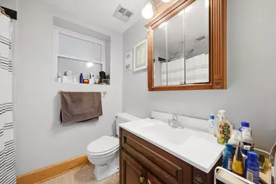 1033 W Dakin Street, Chicago, IL 60613 - Photo 17