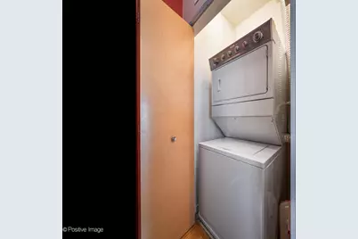 1808 S Michigan Avenue #38, Chicago, IL 60616 - Photo 15