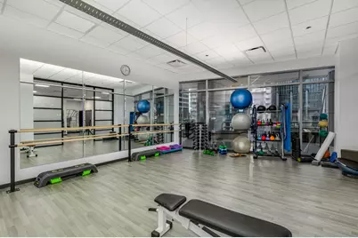 333 N Canal Street #1306, Chicago, IL 60606 - Photo 21