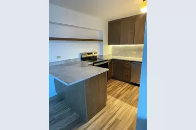 4250 N Marine Drive #2827, Chicago, IL 60613 - Photo 7