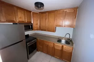 233 E Erie St, Chicago, IL 60611 - Photo 11