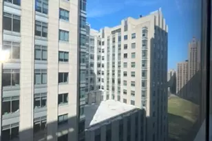 233 E Erie St, Chicago, IL 60611 - Photo 13