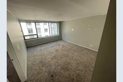 233 E Erie Street #1902, Chicago, IL 60611 - Photo 3