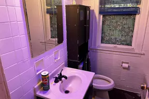 8226 S Paulina St, Chicago, IL 60620 - Photo 7