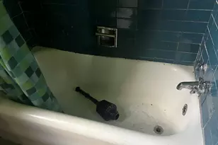 8226 S Paulina St, Chicago, IL 60620 - Photo 13