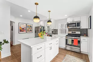 5435 N Lieb Ave, Chicago, IL 60630 - Photo 9