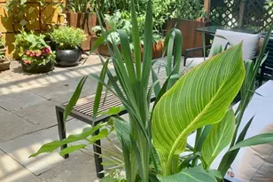 2334 W Medill Ave, Chicago, IL 60647 - Photo 29