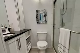 1030 N State St, Chicago, IL 60610 - Photo 11