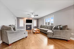 8667 Monaghan Dr, Tinley Park, IL 60487 - Photo 11