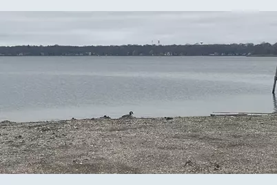 34 W Grand Avenue #102, Fox Lake, IL 60020 - Photo 17