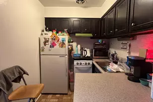 541 W Oakdale Ave, Chicago, IL 60613 - Photo 5