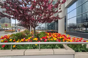 600 N Lake Shore Dr, Chicago, IL 60611 - Photo 3