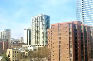 1122 N Clark St, Chicago, IL 60610 - Photo 13