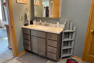 2409 Chestnut Ln, Morris, IL 60450 - Photo 21