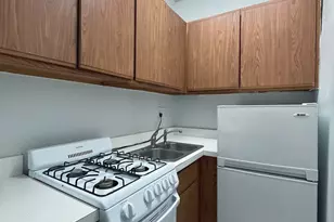 3727 N Pine Grove Ave, Chicago, IL 60613 - Photo 7