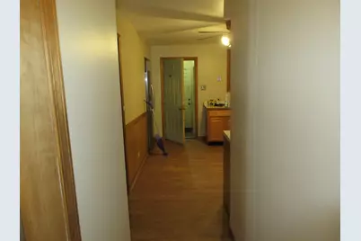 10011 S Exchange Avenue, Chicago, IL 60617 - Photo 39