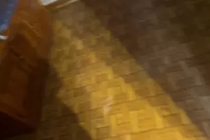 10011 S Exchange Ave, Chicago, IL 60617 - Photo 41