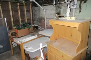 10011 S Exchange Ave, Chicago, IL 60617 - Photo 53